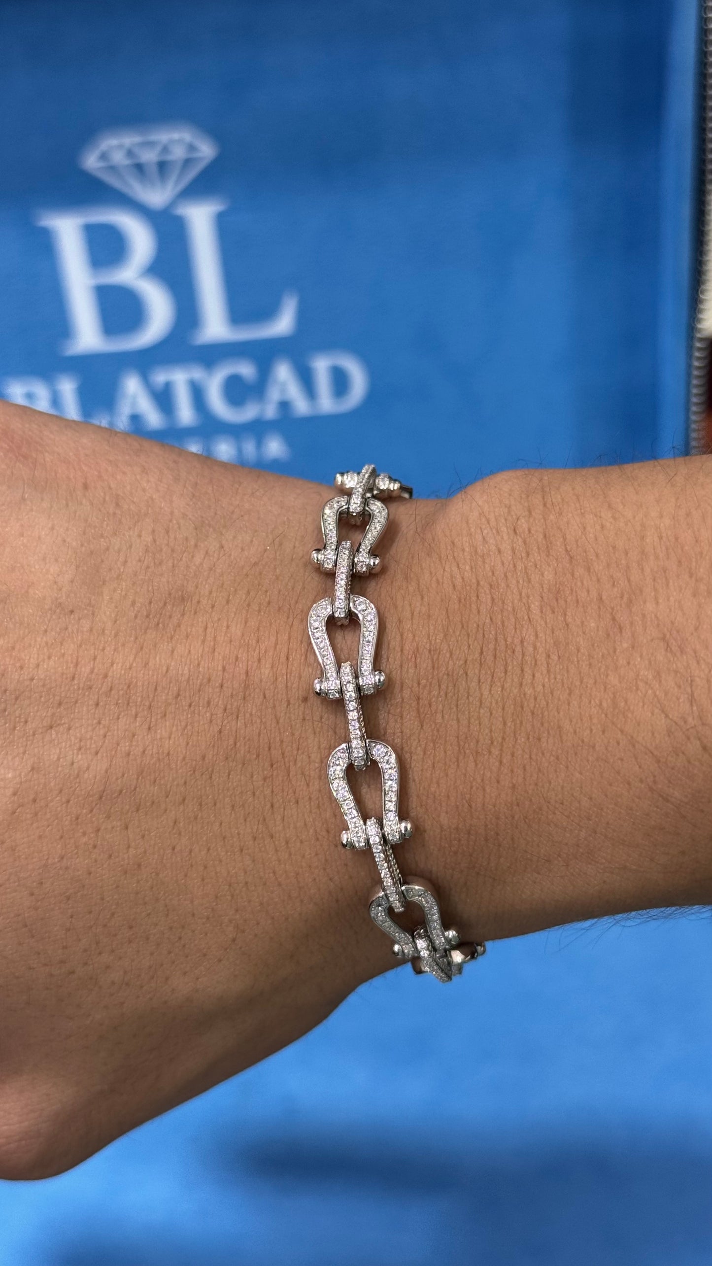 Pulso Herradura Plata.925