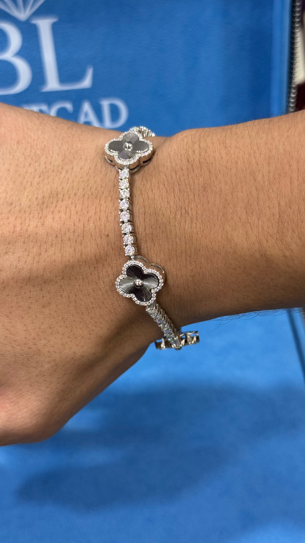 Pulso VanTen Moissanita Plata.925