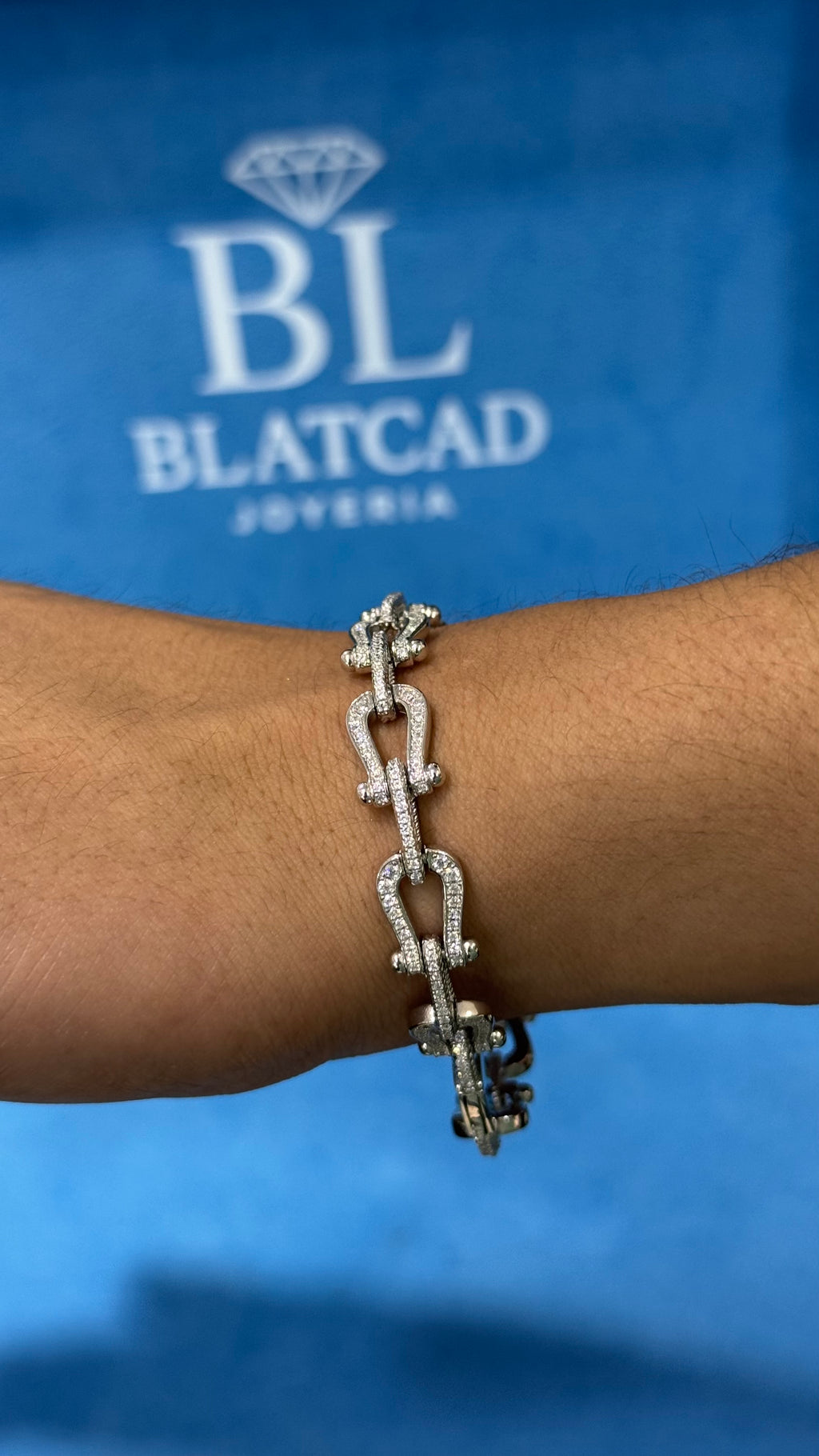 Pulso Herradura Plata.925