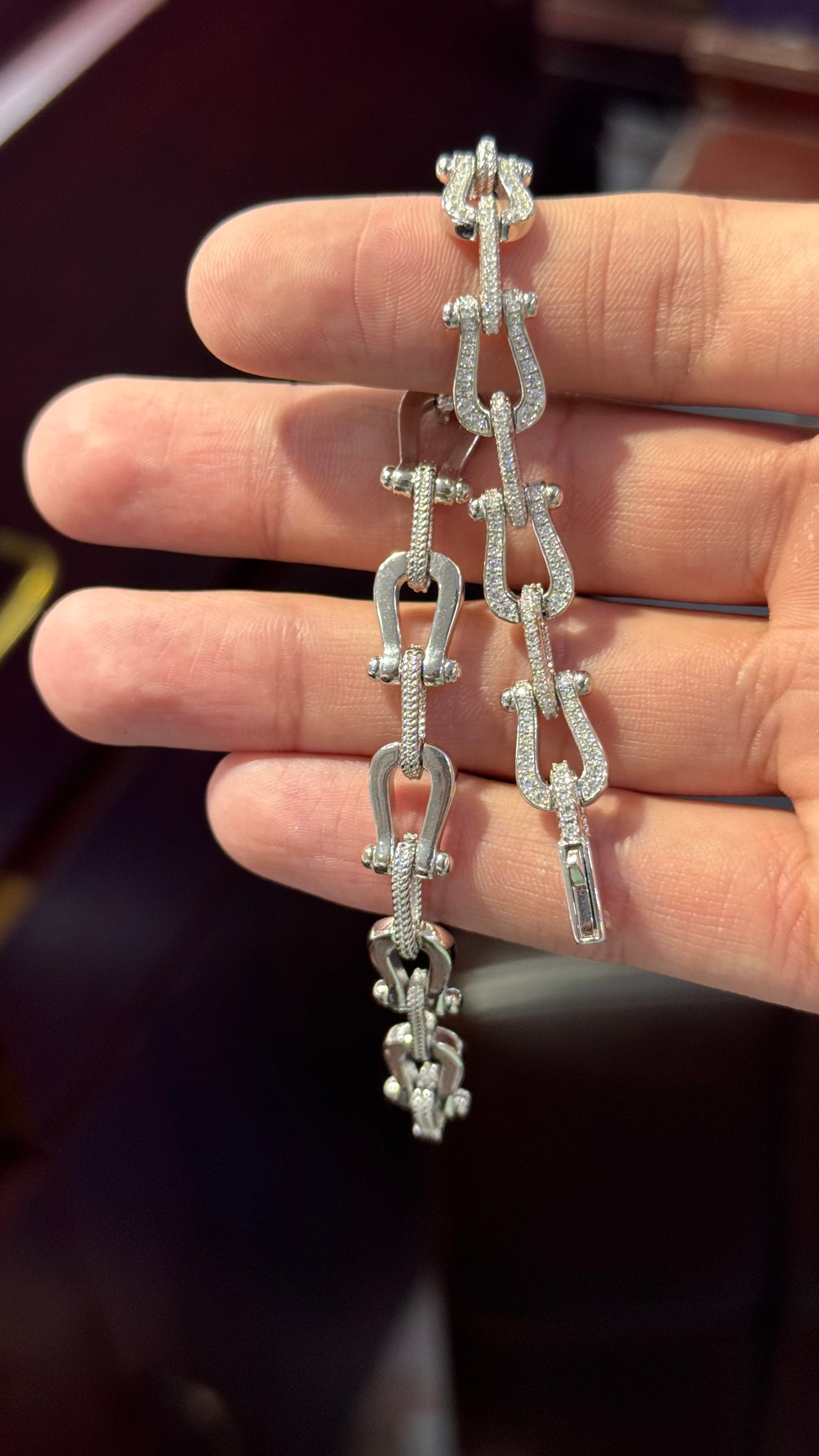 Pulso Herradura Plata.925