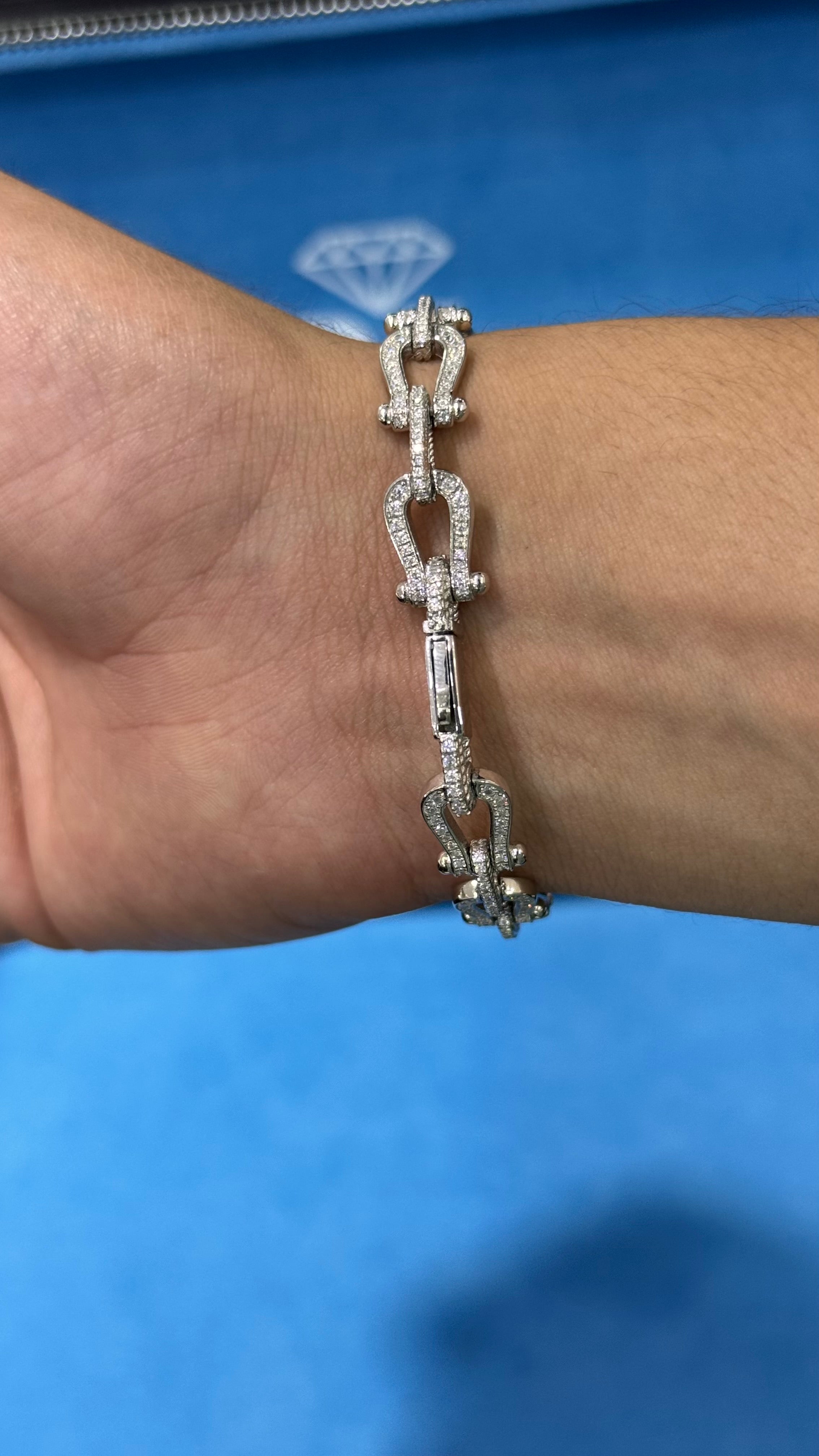 Pulso Herradura Plata.925