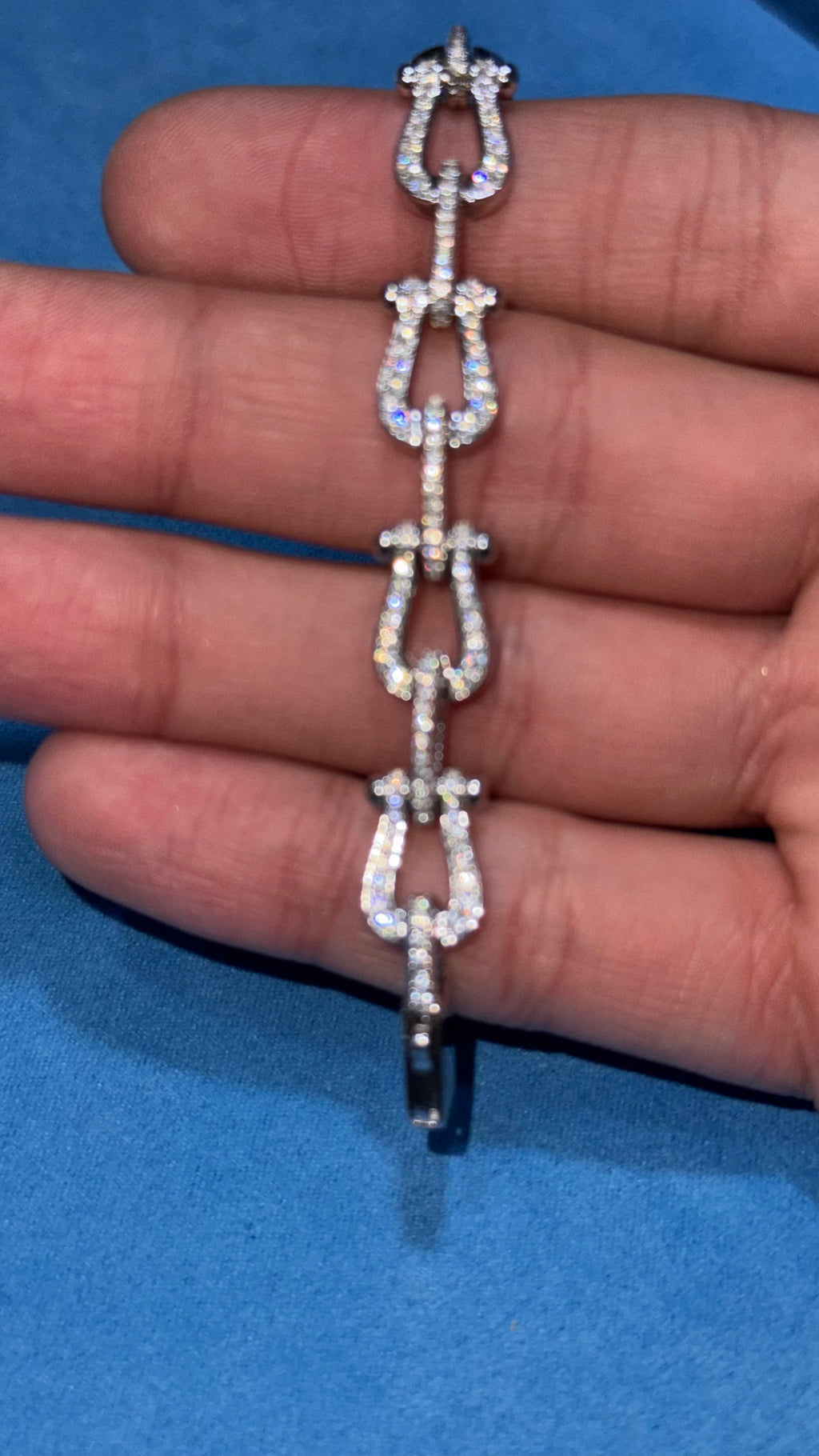 Pulso Herradura Plata.925