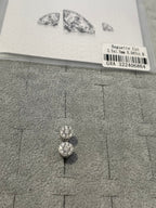 Aretes Moissanite Vvs 1